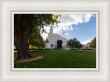 Load image into Gallery viewer, Saint George Fall Leaves
