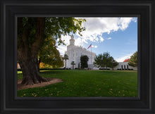 Load image into Gallery viewer, Saint George Fall Leaves
