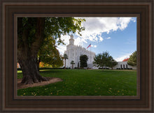 Load image into Gallery viewer, Saint George Fall Leaves
