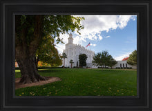 Load image into Gallery viewer, Saint George Fall Leaves

