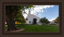 Load image into Gallery viewer, Saint George Fall Leaves

