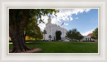 Load image into Gallery viewer, Saint George Fall Leaves
