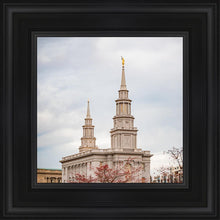 Load image into Gallery viewer, Philadelphia Freedom
