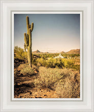 Load image into Gallery viewer, Phoenix Cactus Hill
