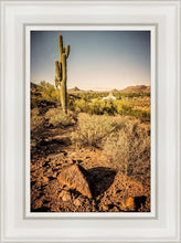 Load image into Gallery viewer, Phoenix Cactus Hill
