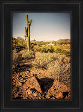 Load image into Gallery viewer, Phoenix Cactus Hill
