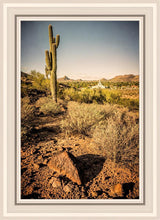 Load image into Gallery viewer, Phoenix Cactus Hill
