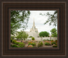 Load image into Gallery viewer, Phoenix Spring Blooms
