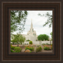 Load image into Gallery viewer, Phoenix Spring Blooms
