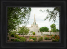 Load image into Gallery viewer, Phoenix Spring Blooms
