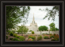 Load image into Gallery viewer, Phoenix Spring Blooms
