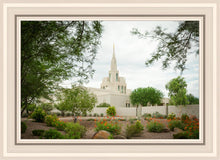 Load image into Gallery viewer, Phoenix Spring Blooms
