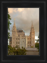 Load image into Gallery viewer, Phoenix Temple Cultivating Goodness
