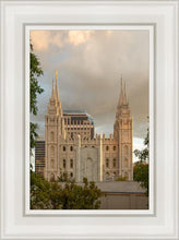 Load image into Gallery viewer, Phoenix Temple Cultivating Goodness

