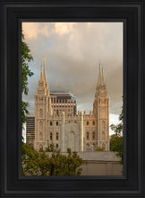 Load image into Gallery viewer, Phoenix Temple Cultivating Goodness
