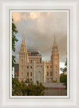 Load image into Gallery viewer, Phoenix Temple Cultivating Goodness
