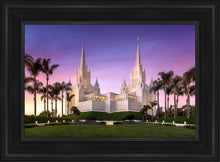 Load image into Gallery viewer, San Diego Lavender

