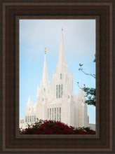 Load image into Gallery viewer, San Diego California Magenta Views
