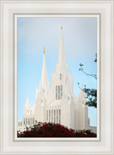 Load image into Gallery viewer, San Diego California Magenta Views
