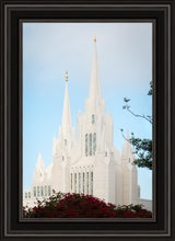 Load image into Gallery viewer, San Diego California Magenta Views
