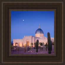 Load image into Gallery viewer, Tucson Cactus Morning
