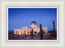 Load image into Gallery viewer, Tucson Cactus Morning
