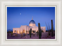 Load image into Gallery viewer, Tucson Cactus Morning
