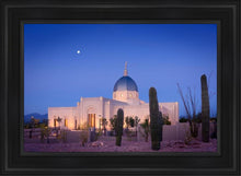 Load image into Gallery viewer, Tucson Cactus Morning
