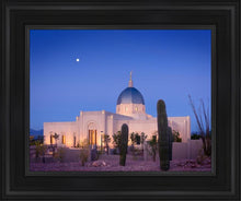 Load image into Gallery viewer, Tucson Cactus Morning
