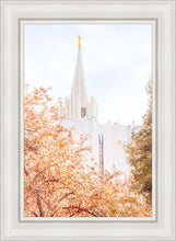 Load image into Gallery viewer, Jordan River Spring Blossoms

