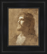 Load image into Gallery viewer, King of Kings
