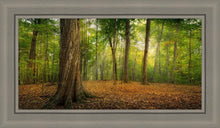 Load image into Gallery viewer, Oh How Lovely was the Morning
