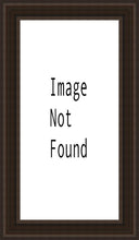 Load image into Gallery viewer, The First Gift
