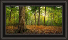 Load image into Gallery viewer, Oh How Lovely was the Morning
