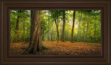 Load image into Gallery viewer, Oh How Lovely was the Morning
