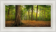 Load image into Gallery viewer, Oh How Lovely was the Morning
