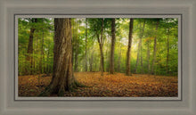 Load image into Gallery viewer, Oh How Lovely was the Morning
