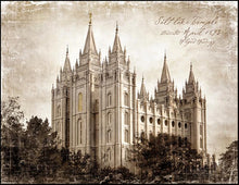 Load image into Gallery viewer, Salt Lake Temple Vintage
