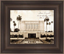 Load image into Gallery viewer, Mesa Vintage
