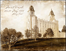 Load image into Gallery viewer, Manti Vintage
