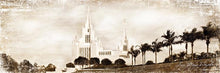 Load image into Gallery viewer, San Diego Vintage

