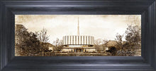 Load image into Gallery viewer, Ogden Vintage
