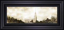 Load image into Gallery viewer, Twin Falls Vintage
