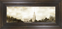 Load image into Gallery viewer, Twin Falls Vintage
