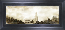 Load image into Gallery viewer, Twin Falls Vintage
