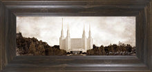 Load image into Gallery viewer, Washington DC Vintage
