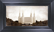 Load image into Gallery viewer, Washington DC Vintage
