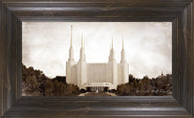 Load image into Gallery viewer, Washington DC Vintage

