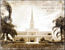 Load image into Gallery viewer, Orlando Vintage
