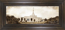 Load image into Gallery viewer, Palmyra Vintage
